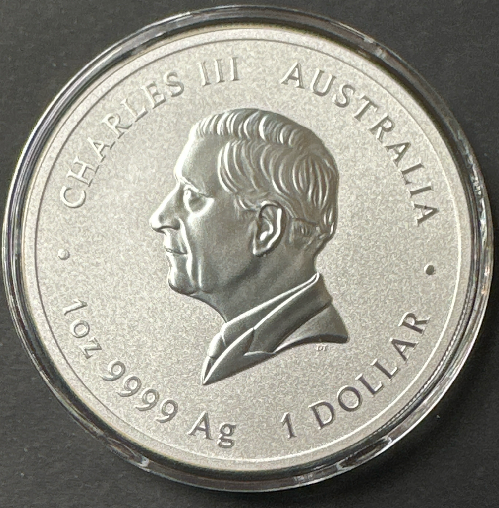 Silver dollar