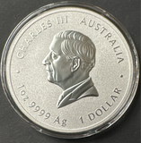 Silver dollar