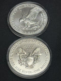 Random Year Colorized Silver Eagle
