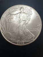 2002 American Silver Eagle