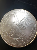 Rising Eagle Engraved Silver Dollar