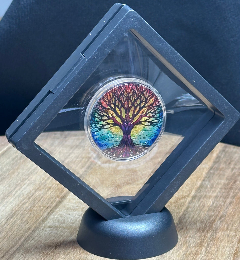 Single Coin Frame Floating Coin Frame | First Salute
