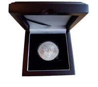 Premium Display Case