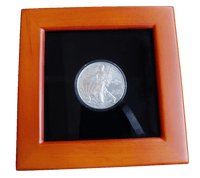 Premium Windowed Display Box